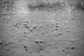 Koszalin/ Kiepskie lato nie wpłynęło znacząco na liczbę pacjentów nad morzem