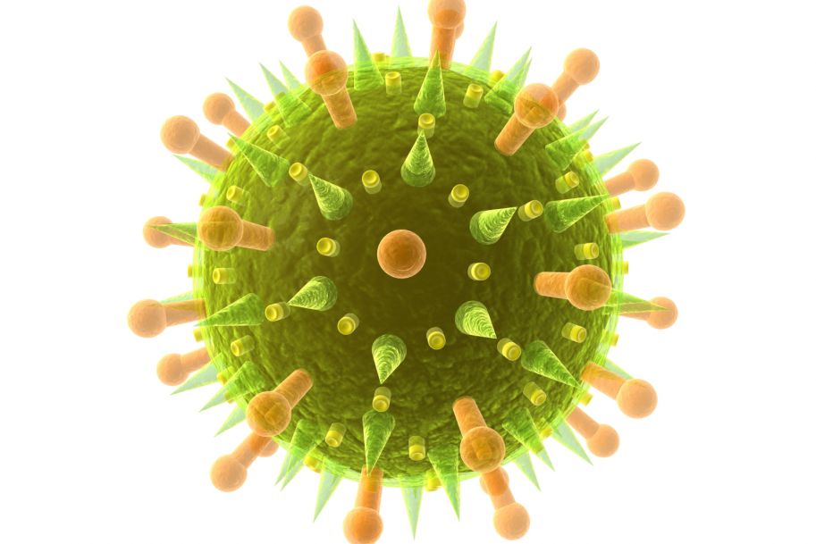 Region białkowy wirusa SARS-CoV-2 sprzyja jego sezonowości