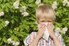 Desloratadyna i prednizolon w leczeniu dzieci z ostrymi objawami alergicznego nieżytu nosa