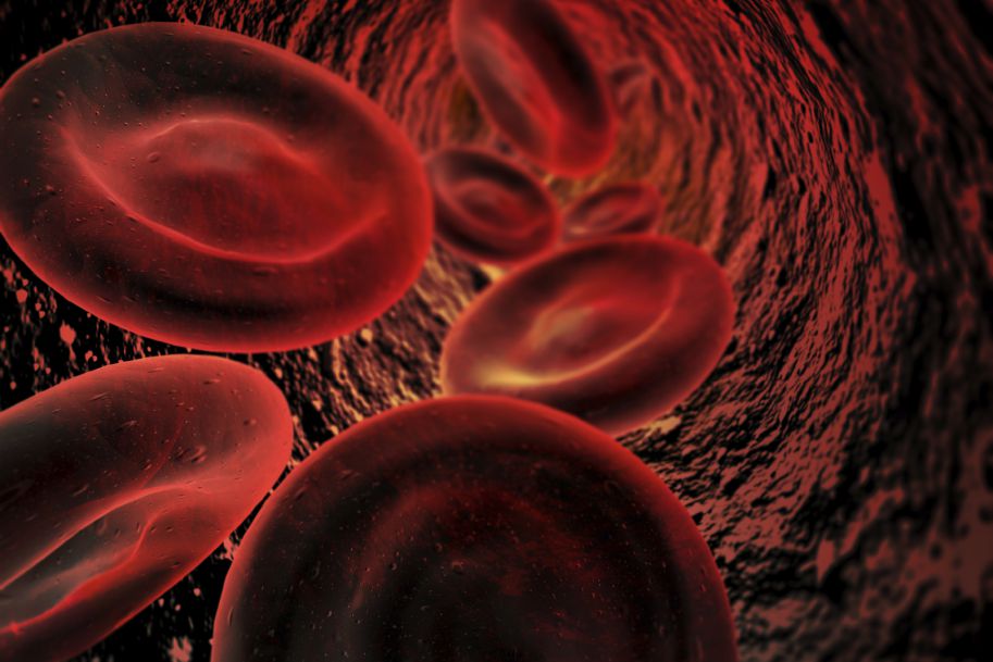 Pierwsza transfuzja wyhodowanych krwinek