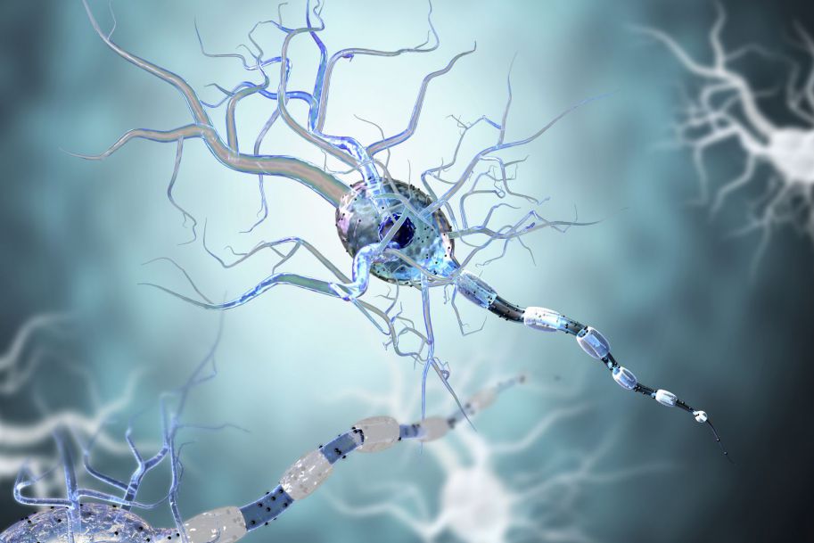Szkodliwe związki z jelit uszkadzają neurony w mózgu
