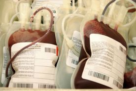 Geje w USA mogą oddawać krew