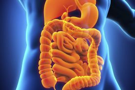 Helicobacter pylori szkodzi żołądkowi, ale może pomagać jelitom