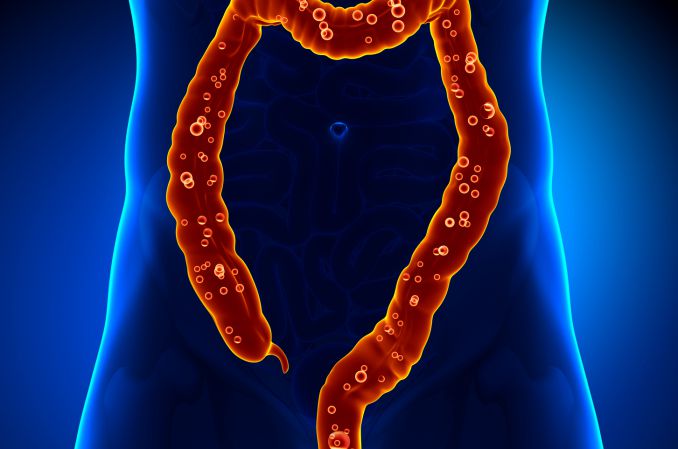 Bakteryjne „pigułki” zamiast endoskopu