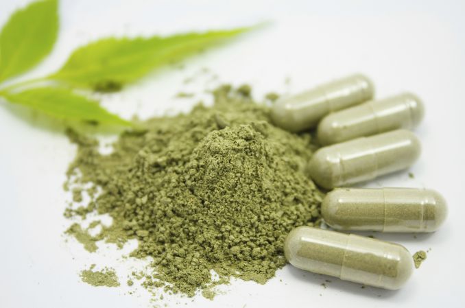 Starochiński lek chroni nerki przed cukrzycą