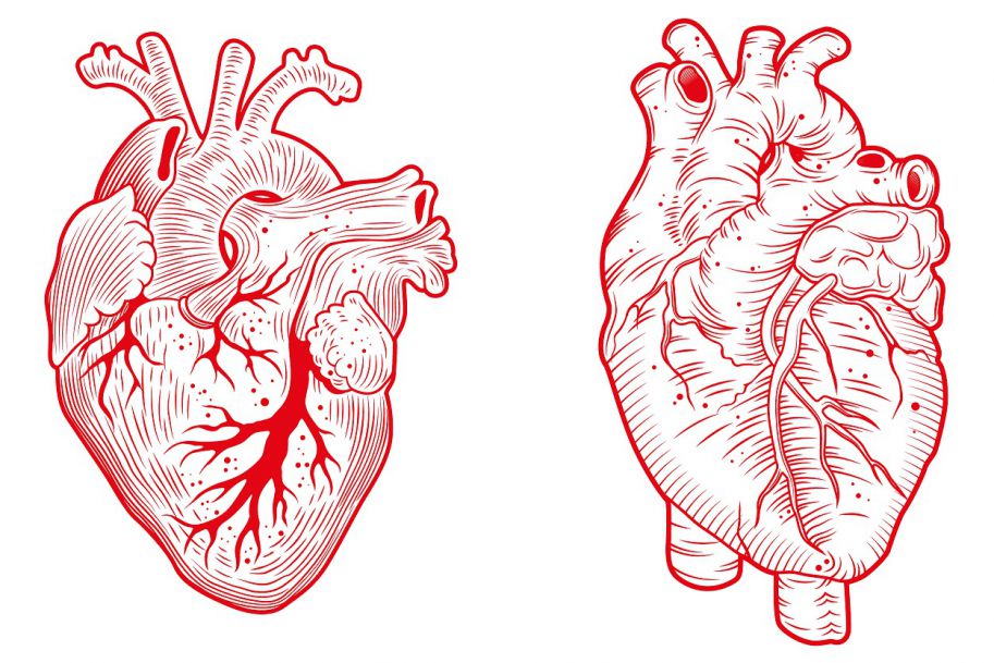 Sarkoidoza serca – trudne wyzwanie kliniczne