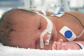 Wpływ enteralnej podaży roztworu wzbogaconego glutaminą, u noworodków z bardzo małą urodzeniową masą ciała, na ograniczenie objawów nietolerancji karmienia. Prospektywne, randomizowane badanie pilotażowe