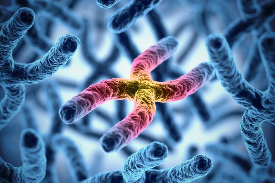 Zespół łamliwego chromosomu X i choroby FMR1-zależne – objawy kliniczne, epidemiologia i podłoże molekularne choroby