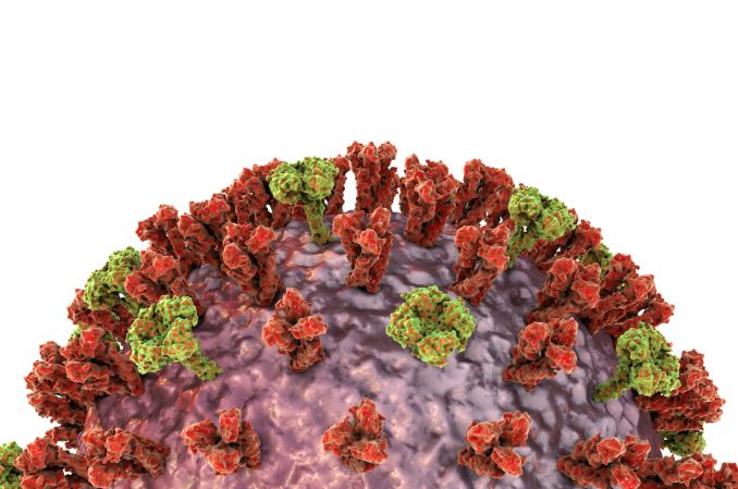 Odkryto ważny mechanizm infekcji HIV