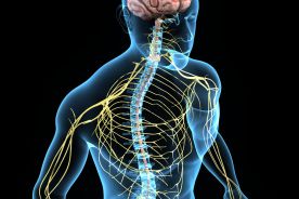 Ból neuropatyczny – epidemiologia, patomechanizm i metody leczenia