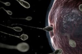 Miasto będzie dopłacać do popieranej przez Kościół metody leczenia niepłodności