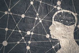 Opracowano atlas zmian zachodzących w ludzkim mózgu