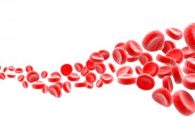 Rola polifosforanów w procesie krzepnięcia krwi i w rozwoju stanu zapalnego
