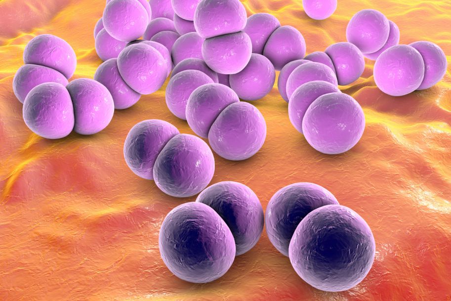 Nawet 10 mln ludzi może umrzeć w 2050 r. z powodu antybiotykooporności