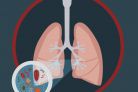 Naukowcy: W najgłębszych częściach płuc człowieka obecny jest mikroplastik