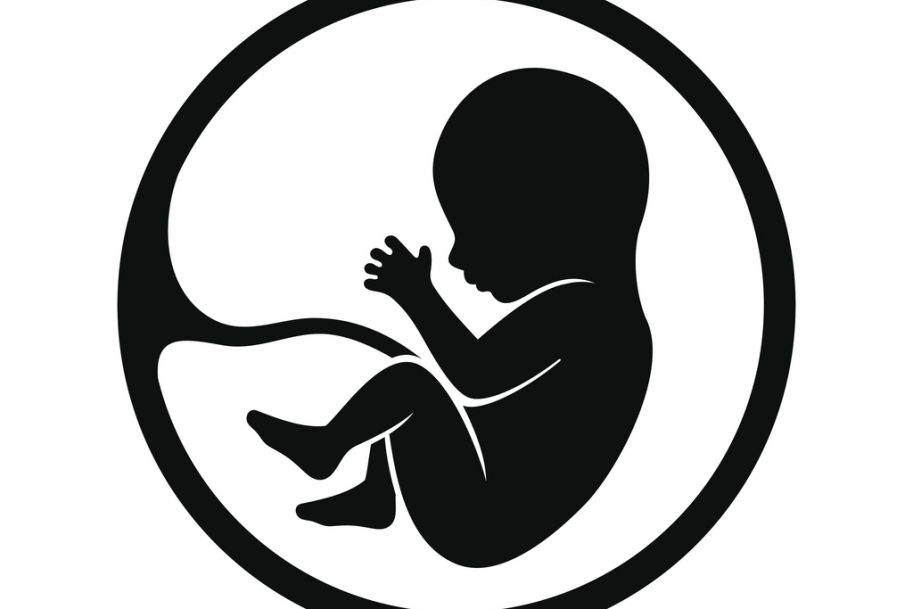 Rekordowa liczba aborcji mimo rządowego wsparcia
