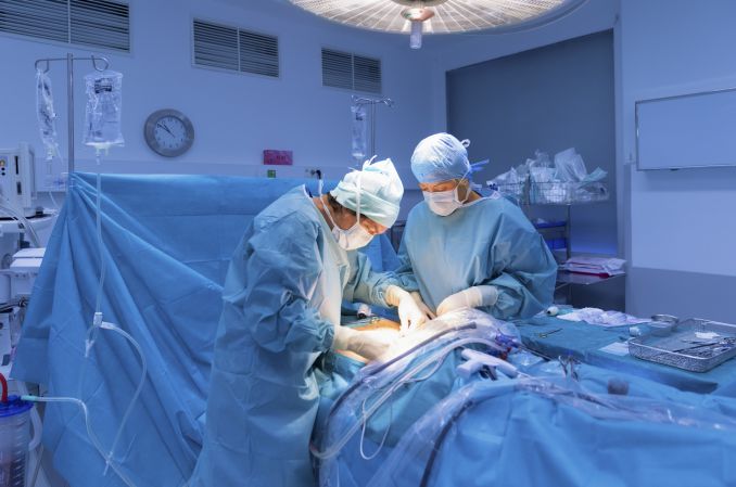 Prof. Gaciong: tworzymy na WUM silny ośrodek transplantacji narządów na światowym poziomie