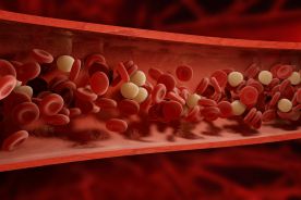 Talidomid może pomóc osobom z nieprawidłowym rozwojem naczyń krwionośnych