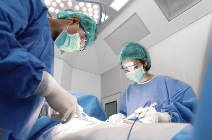 Polskie badania mogą poprawić przechowywanie narządów do przeszczepów