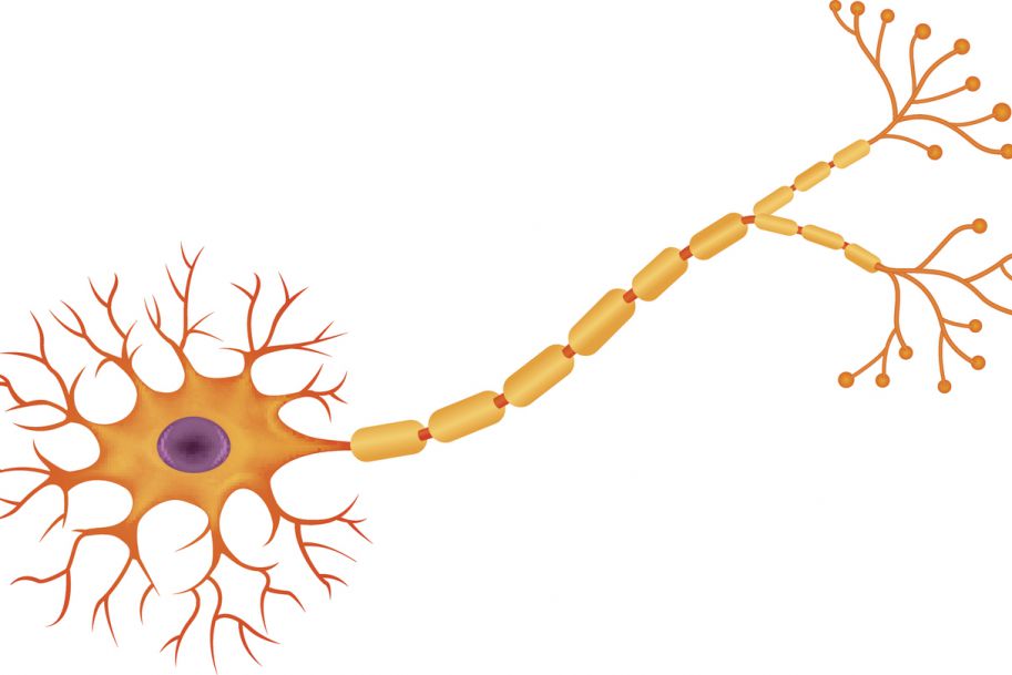 Sztuczne neurony mogą naprawić mózg