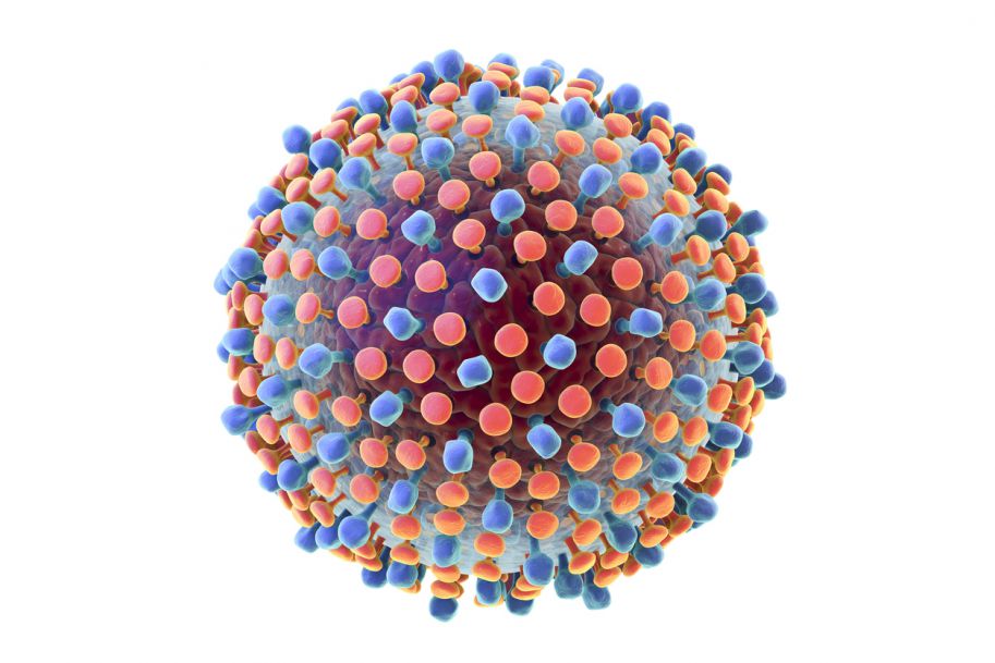 POZ diagnozuje zakażenia wirusem HCV