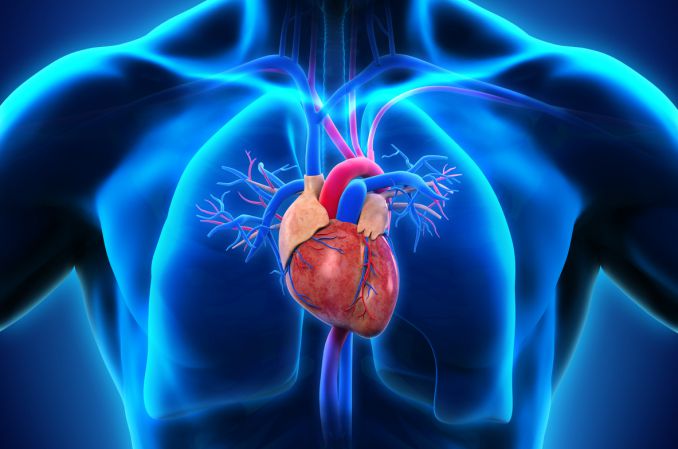 Kardiologia: odkrycie znaczenia kieszonki przegrodowej