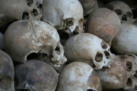 USA: Adopcja starej czaszki