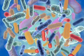 Raport: oporne na antybiotyki bakterie uśmiercają co roku ponad 1,2 mln osób na świecie
