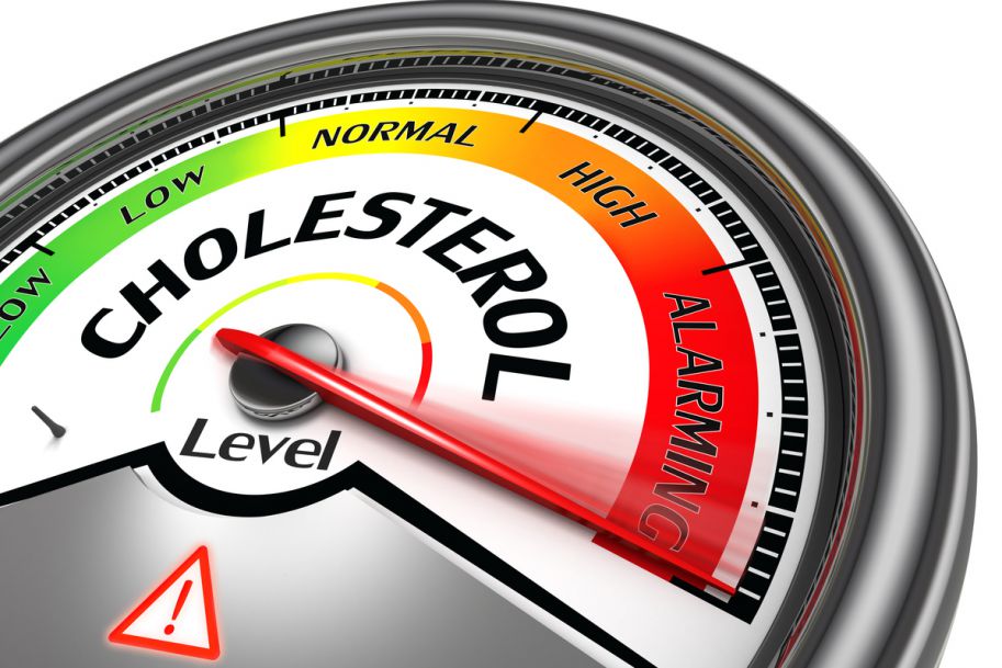 Hipercholesterolemia rodzinna ‒ czy można ją rozpoznać już w gabinecie lekarza rodzinnego?