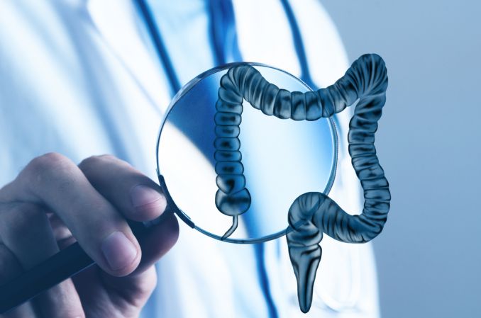 Naukowcy: pestycydy i inne popularne chemikalia są toksyczne dla bakterii jelitowych