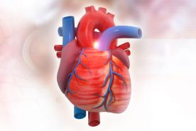 Mutacja może wpływać na niewydolność serca