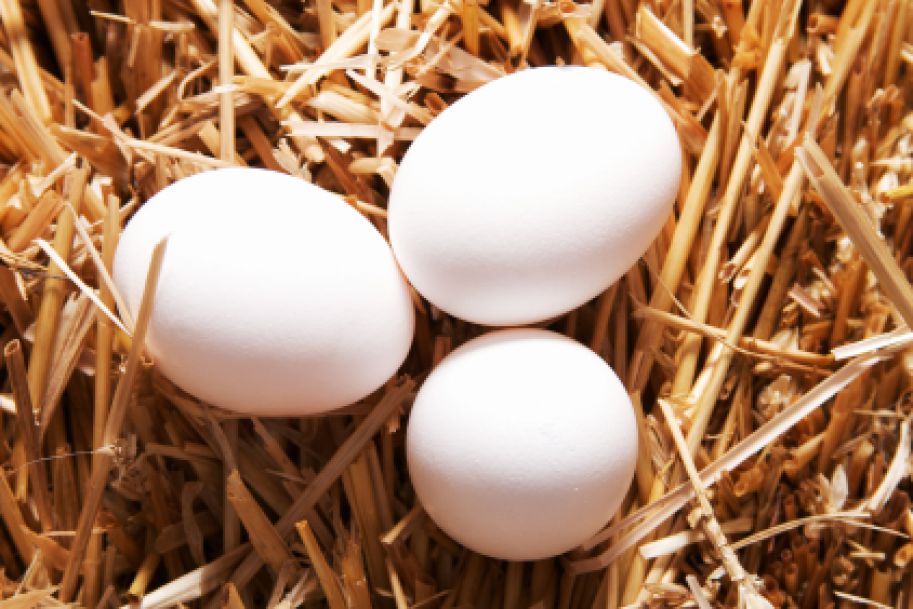 Ekspert: wielkanocne jaja nie dla najmłodszych dzieci