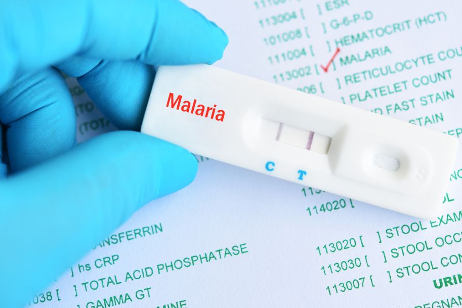 Malaria – epidemiologia, obraz kliniczny. U kogo należy podejrzewać malarię?