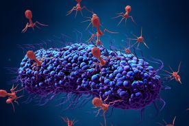 Bakteriofagi mają potencjał, by uratować ludzkość