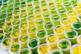 Senat za nowymi regulacjami dot. bezpieczeństwa GMO w laboratoriach