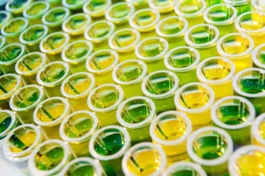 Senat za nowymi regulacjami dot. bezpieczeństwa GMO w laboratoriach