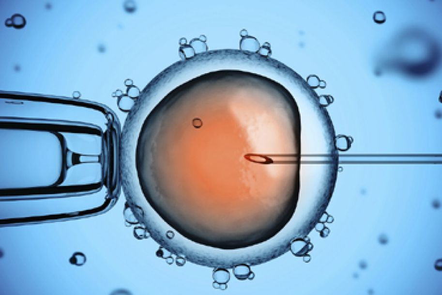 Raport: powikłania po in vitro zdarzają się bardzo rzadko