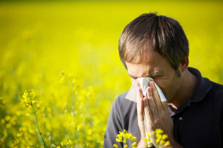 Leki przeciwhistaminowe w leczeniu alergicznego nieżytu nosa – miejsce dla rupatadyny