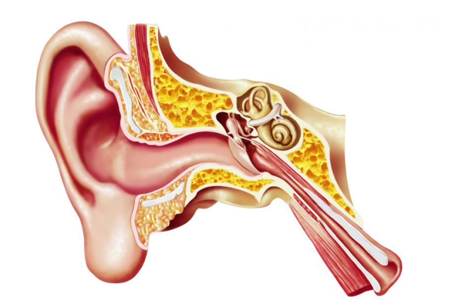 Aparaty słuchowe pomagają żyć dłużej
