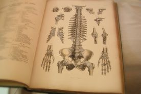 Lublin/ Naukowcy pracują nad wykorzystaniem implantu z zeolitów przy leczeniu osteoporozy