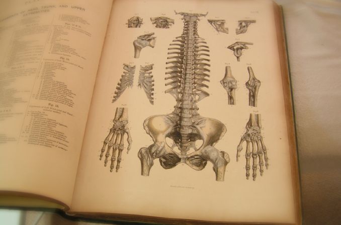 Lublin/ Naukowcy pracują nad wykorzystaniem implantu z zeolitów przy leczeniu osteoporozy